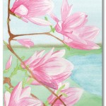 Magnolias à l’Aquarelle