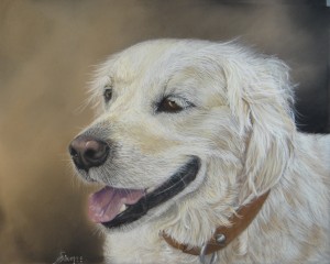 peinture-pastel-portrait-chien-animaux